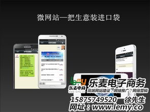 微信網(wǎng)站開(kāi)發(fā)制作 樂(lè)麥專(zhuān)注網(wǎng)站設(shè)計(jì) 在線(xiàn)咨詢(xún) 微信網(wǎng)站